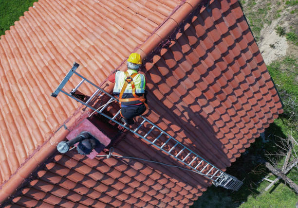 Best Roof Leak Repair  in Noel, MO